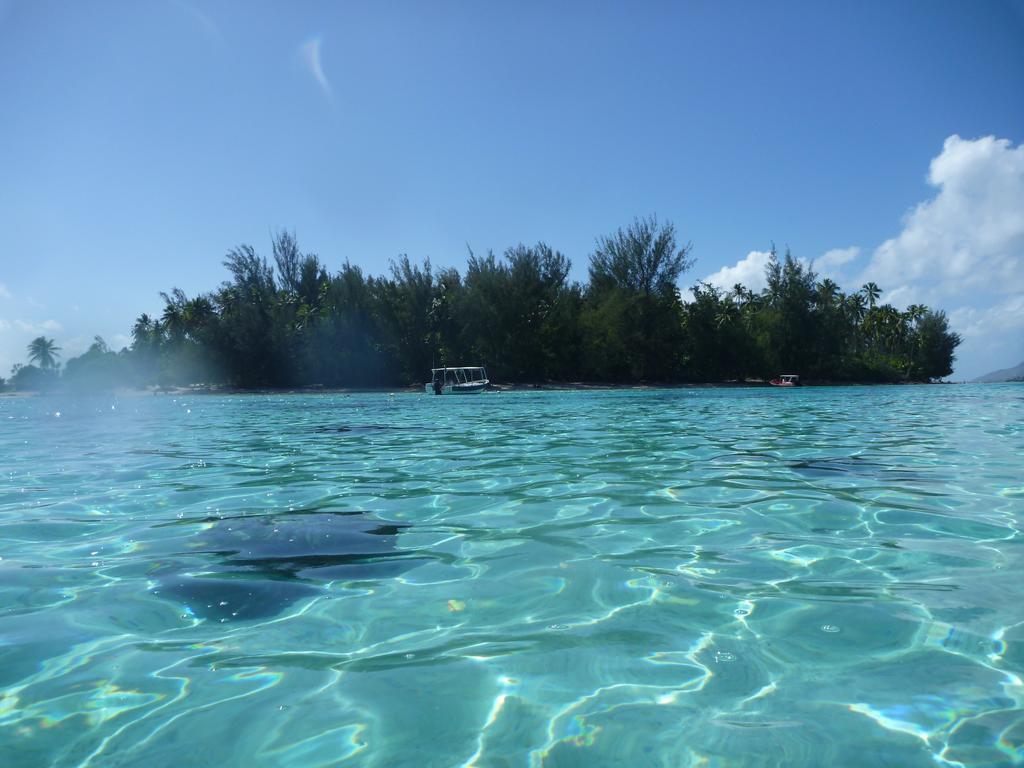 Fare Vaihere Moorea Zewnętrze zdjęcie